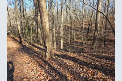 408 Apple Ridge 1, Dawsonville, GA 30534 - Photo 28