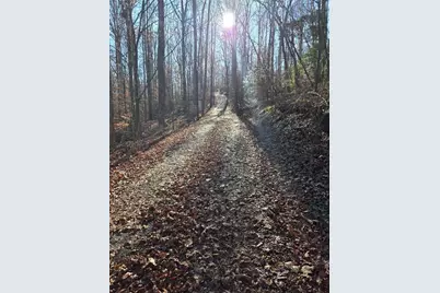 408 Apple Ridge 1, Dawsonville, GA 30534 - Photo 32