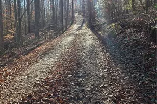 408 Apple Ridge 1, Dawsonville, GA 30534 - Photo 32