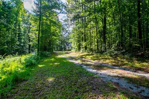 8291 Hwy 5, Whitesburg, GA 30185 - Photo 4