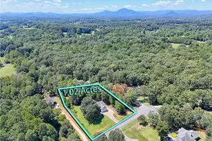 271 Panacea Ln, Demorest, GA 30535 - Photo 4