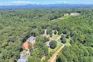 271 Panacea Ln, Demorest, GA 30535 - Photo 58