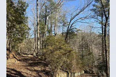 170 Old Gold Mine Trail, Helen, GA 30545 - Photo 10