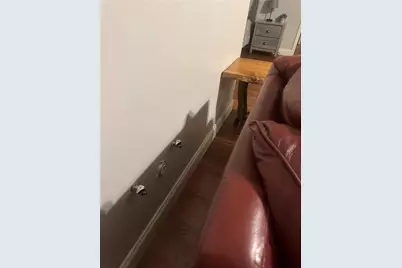 105 Ranch Mountain Court, Dahlonega, GA 30533 - Photo 34