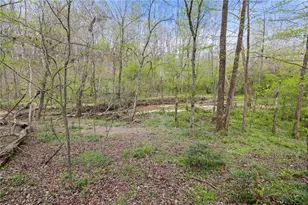 87 Tolleffs Trail, Dahlonega, GA 30533 - Photo 34