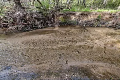 87 Tolleffs Trail, Dahlonega, GA 30533 - Photo 42