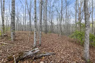 87 Tolleffs Trail, Dahlonega, GA 30533 - Photo 50