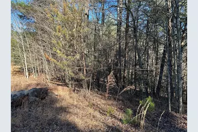 00000 Twin River Orchard Road, Demorest, GA 30535 - Photo 10