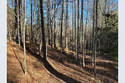 00000 Twin River Orchard Road, Demorest, GA 30535 - Photo 4