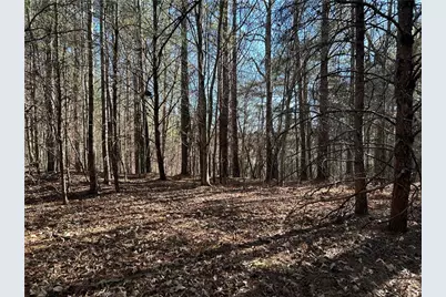 00000 Twin River Orchard Road, Demorest, GA 30535 - Photo 8