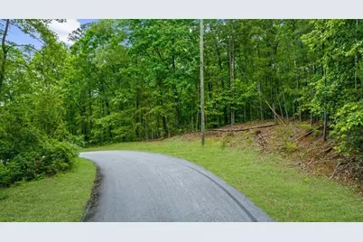 0 Stone Place Drive, Dawsonville, GA 30534 - Photo 4