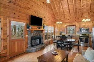 541 Little Bushy Head Rd, Cherrylog, GA 30522 - Photo 8