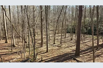 22 Vineyard Road, Dallas, GA 30132 - Photo 12