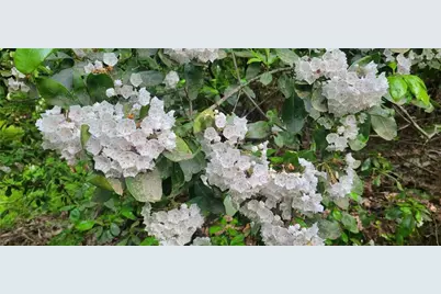 22 Vineyard Road, Dallas, GA 30132 - Photo 14