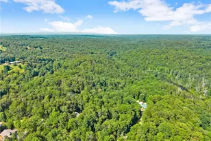 309 Fowler Creek Dr, Cleveland, GA 30528 - Photo 40