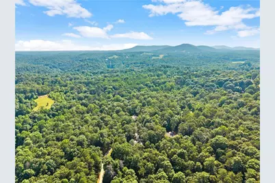 309 Fowler Creek Drive, Cleveland, GA 30528 - Photo 46