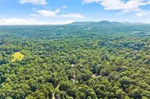 309 Fowler Creek Dr, Cleveland, GA 30528 - Photo 46