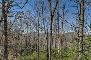 348 The Forest Has Eyes, Blue Ridge, GA 30513 - Photo 50