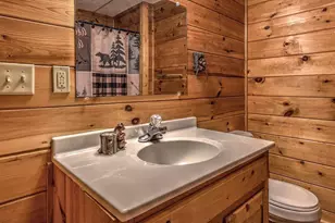 348 The Forest Has Eyes, Blue Ridge, GA 30513 - Photo 10