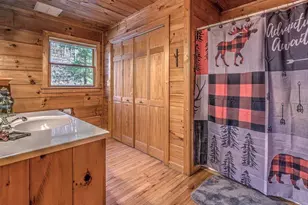 348 The Forest Has Eyes, Blue Ridge, GA 30513 - Photo 8