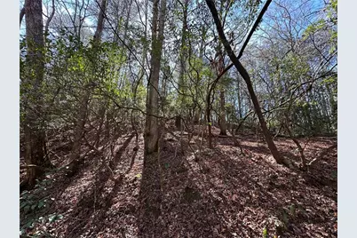 0 Coffee Mill Run, Talking Rock, GA 30175 - Photo 10