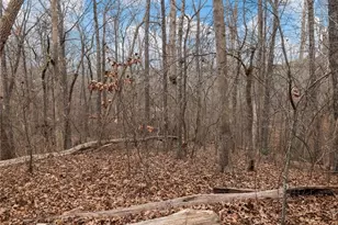 8755 Covestone Dr, Gainesville, GA 30506 - Photo 54