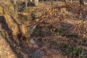 307 Tara Ct, Mansfield, GA 30055 - Photo 34