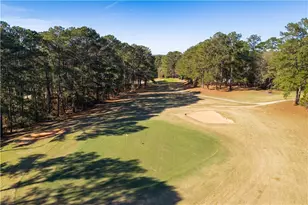 200 Flamingo Dr, Monticello, GA 31064 - Photo 48