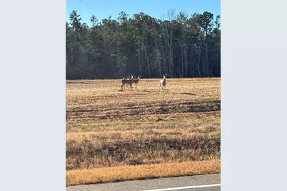 0 State Rte 83 Route, Monroe, GA 30655 - Photo 6
