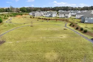 8690 Stratford Oaks Ave, Ball Ground, GA 30107 - Photo 48