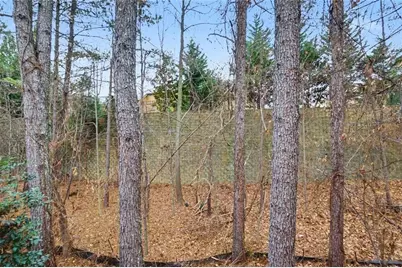 850 Abbotts Mill Court, Duluth, GA 30097 - Photo 20