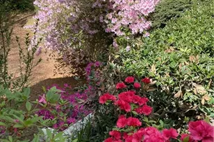 37 Plantation Dr NE, Atlanta, GA 30324 - Photo 4