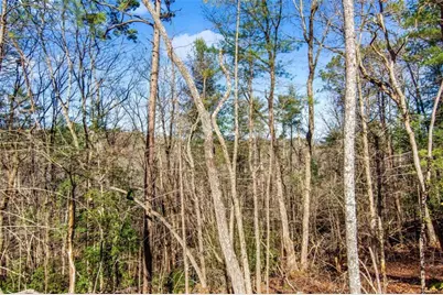 6.44 Whispering Oaks Drive, Ellijay, GA 30540 - Photo 30