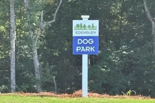 4405 Easter Lily Ave Lot 78, Buford, GA 30519 - Photo 26