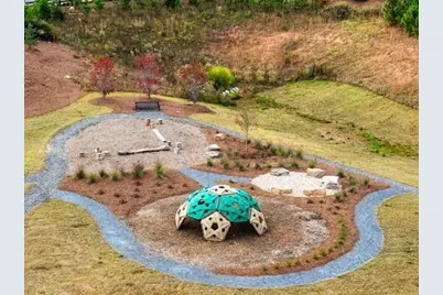 8670 Stratford Oaks Avenue, Ball Ground, GA 30107 - Photo 38