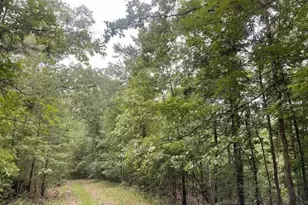 933 Apex Ct, Ranger, GA 30734 - Photo 1