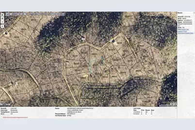 933 Apex Court, Ranger, GA 30734 - Photo 4