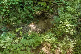 126 Loggins Trail, Commerce, GA 30529 - Photo 36