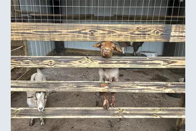 132 Sydney Summit, Villa Rica, GA 30180 - Photo 8