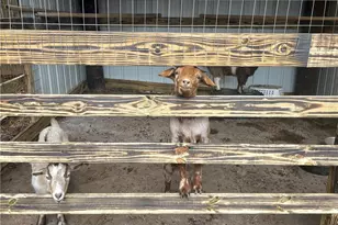 132 Sydney Summit, Villa Rica, GA 30180 - Photo 8