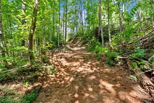 196 Whitestone Dr, Talking Rock, GA 30175 - Photo 46