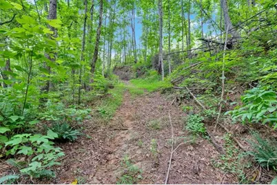 196 Whitestone Drive, Talking Rock, GA 30175 - Photo 50