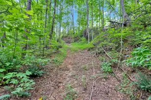 196 Whitestone Dr, Talking Rock, GA 30175 - Photo 50