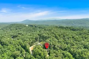 196 Whitestone Dr, Talking Rock, GA 30175 - Photo 42