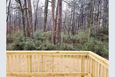 156 Scarlett Place Drive, Bowdon, GA 30108 - Photo 12