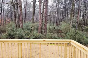 156 Scarlett Pl Dr, Bowdon, GA 30108 - Photo 12