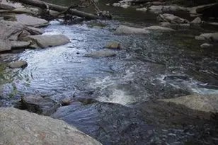 3542 Chattahoochee Summit Ln SE, Atlanta, GA 30339 - Photo 28