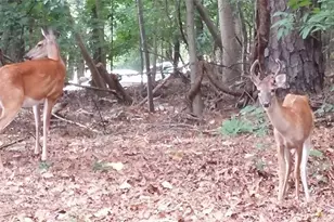 3542 Chattahoochee Summit Ln SE, Atlanta, GA 30339 - Photo 36