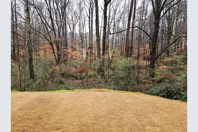 152 Scarlett Place Drive, Bowdon, GA 30108 - Photo 14