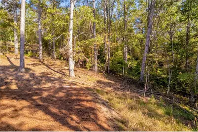 946 Essic Road, Ball Ground, GA 30107 - Photo 42